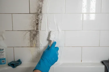 Comment blanchir les joints de douche noircis ou jaunis ? - Image 1