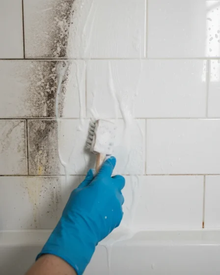 Comment blanchir les joints de douche noircis ou jaunis ? - Image 1