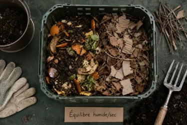 Comment faire du compost : équilibre 2/3 humide et 1/3 sec, matières sèches et humides