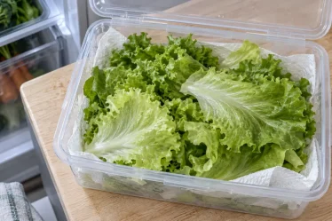 Conserver la salade au frigo : feuilles bien essorées